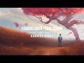 Edward maya  soul sound  cover mashup by gabriel light 2024