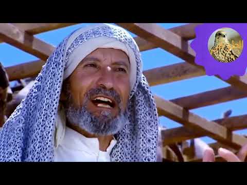 الحجاج ح 11