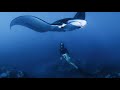 Freediving with Manta Rays - The most epic experience ever