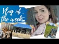 VLOG OF THE WEEK / EATING OUT,  FAMILY PICNIC, NEW SHOWROOM FURNITURE & UPDATE