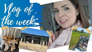 VLOG OF THE WEEK / EATING OUT,  FAMILY PICNIC, NEW SHOWROOM FURNITURE &amp; UPDATE