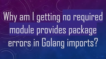 Why am I getting no required module provides package errors in Golang imports?