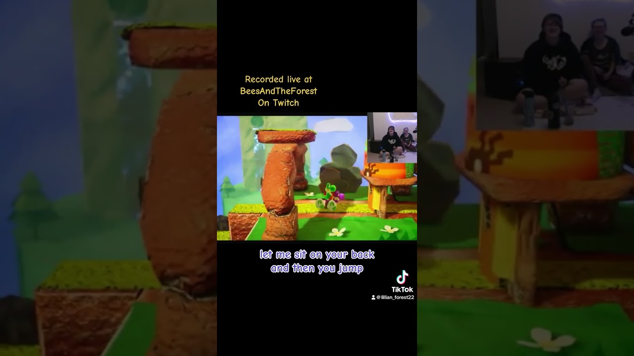 The magnet reappeared  #gaming#stream#streamers#streamed#gameplay#audhd#adhd#yoshi#nintendo#clip