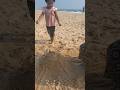 ചെറിയ കൈകൾ… വലിയ സന്തോഷം