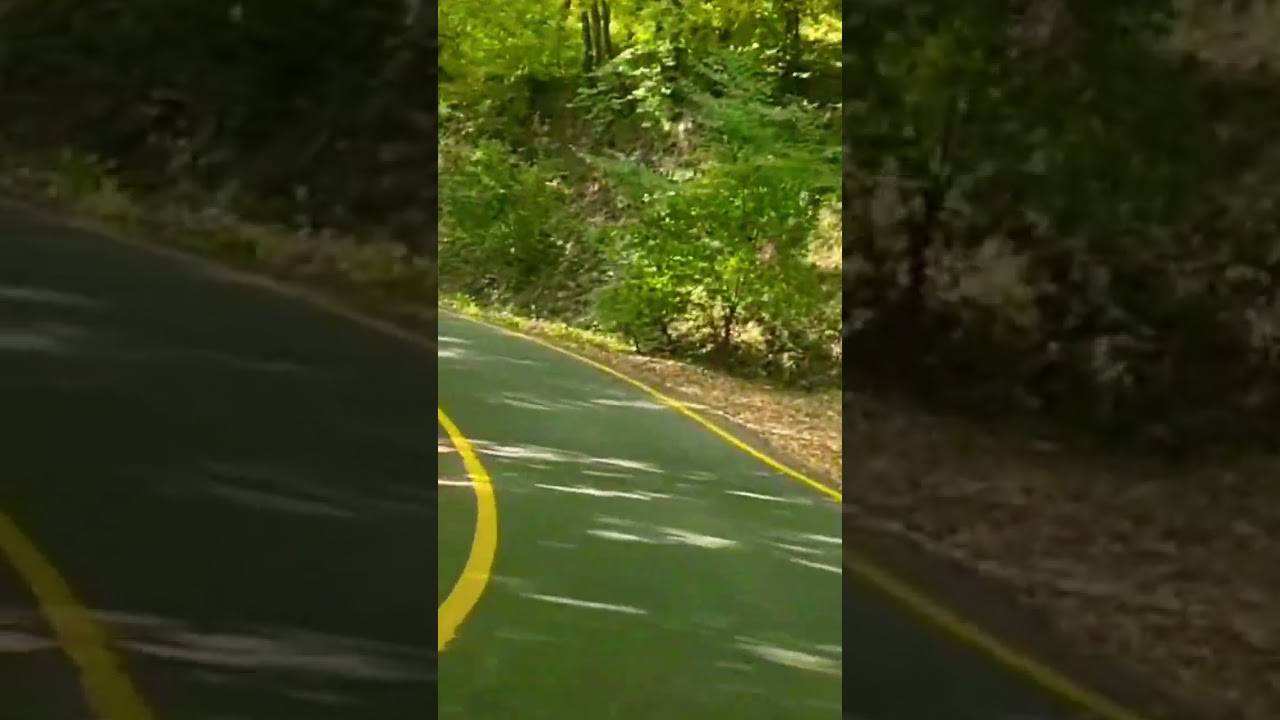 Belgrad Forest ( istanbul )