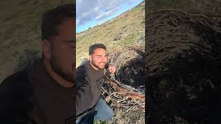 Ιστορικό αμπέλι στην Σαντορίνη