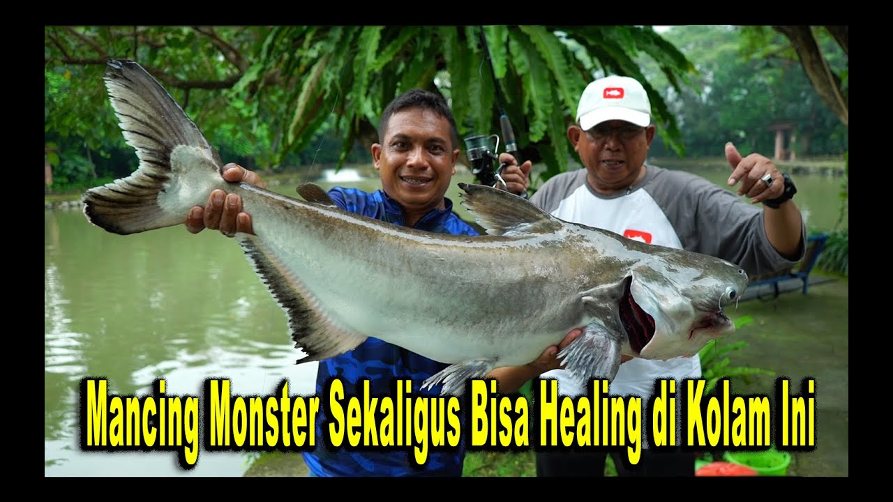 Lokasi Healing Untuk Para Angler Dan Keluarga