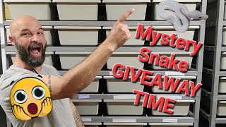 Mystery Snake GIVEAWAY Happening Friday! Don't Miss Out. FREE