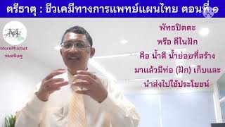 MP73: ตรีธาตุ ชีวเคมีทางการแพทย์แผนไทย ตอนที่ ๑