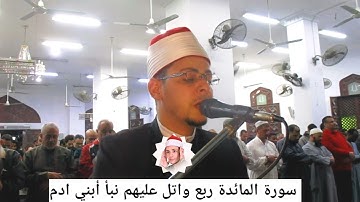 تلاوة روعة سورة المائدة يصوت القارئ الشيخ محمد الاسيوطي عين شمس القاهره