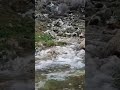 آب تمام زبانهای دنیارو میفهمه هروقت با آب تنها شدین همه حرفهای خودتان را بهش بگویید آب تمام زبانهای دنیارو میفهمه هروقت با آب تنها شدین همه حرفهای خودتان را بهش بگویید
