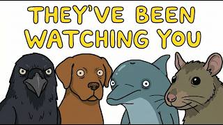 What Do Animals Really Think About Humans?