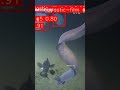 How AI could help clean our oceansーNHK WORLD-JAPAN NEWS #shorts