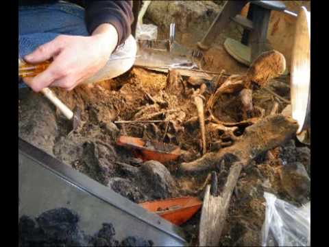 museums in london more fun with time lapse -- excavation of saber-toothed cat's pelvis @ la brea tar pits!