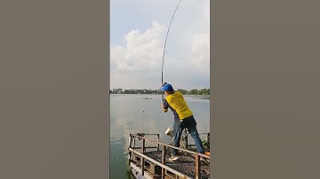 Đẳng Cấp Ném Mồi Hồ 13 Mẫu 7 #Shorts