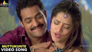 Yamadonga Songs | Nuvvu Muttukunte Video Song | Jr NTR, Mamta Mohandas | Sri Balaji Video