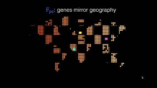 Across-cohort QC analyses of GWAS summary statistics from complex traits