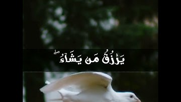الله لطيف بعباده😌❤️ القارئ الشيخ ياسر الدوسري 🎧🎙️
