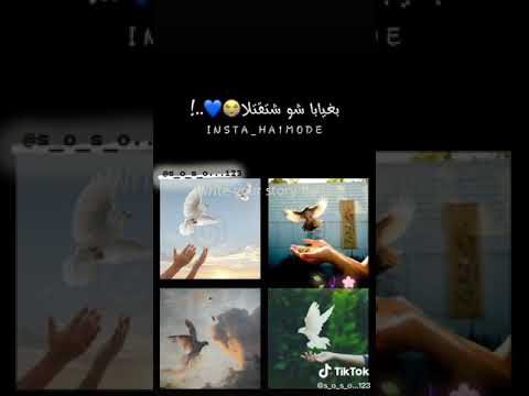 حالات واتس ياطير دخلك قلا 