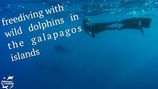 Natalie Parra Freediving With Dolphins While Filming Galapagos Evolution
