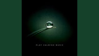 Quiet Echo (Night Relaxation Melodies)
