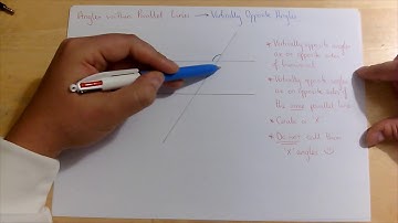 Angles within Parallel Lines