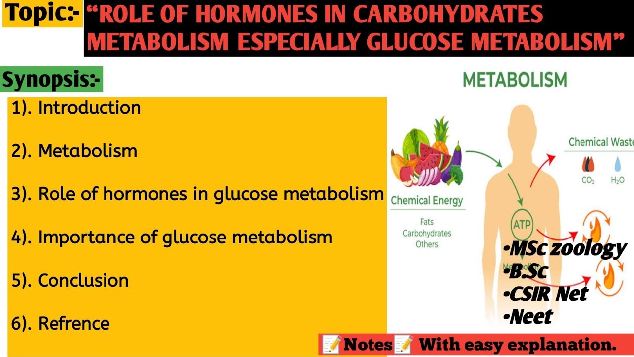 Role of hormone in Carbohydrates Metabolism especially glucose metabolism | Carbohydrates Metabolism