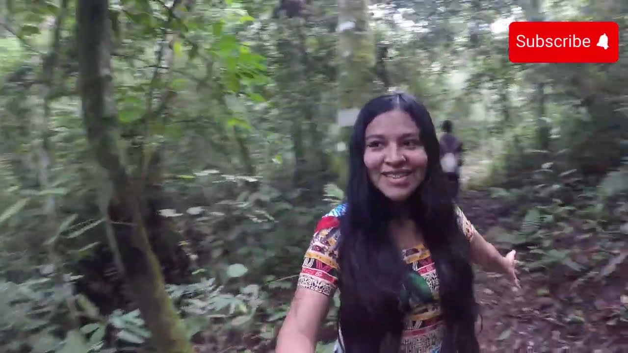 FUIMOS EN BUSCA DE UNA CASCADA/ SALE MAL #brasil #vlog #travel #nature #adventure #saopaulo #explore