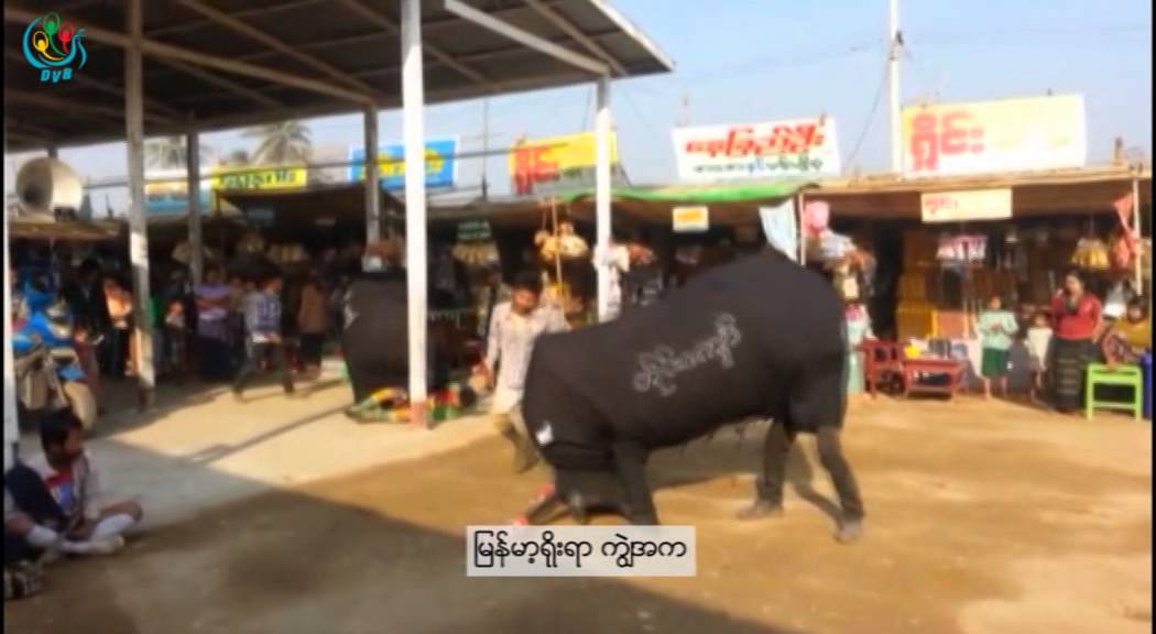 DVB -ျမန္မာ့ရုိးရာ ကြ်ဲအက