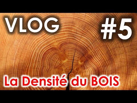 Vidéo: Ce qui détermine la densité du bois