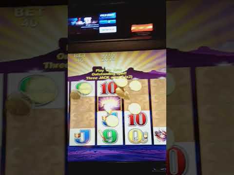 40 cents bet! #slots #buffaloes #trending #vegaslocal #shortsfeed