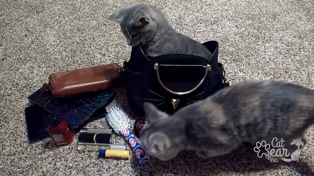 meow kors handbag