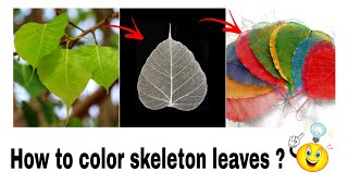 How to make Skeleton leaves / How to color skeleton leaves / Art and craft projects/ Leaf craft