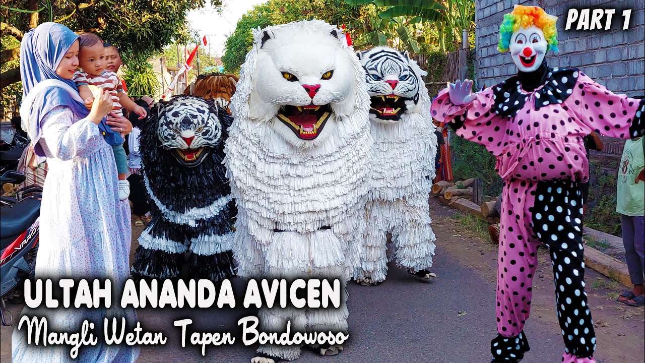 KIRAB CAN MACANAN SINGO MANGGALA DAN DRUMBAND GEMA NADA DI MANGLI WETAN TAPEN BONDOWOSO PART 1