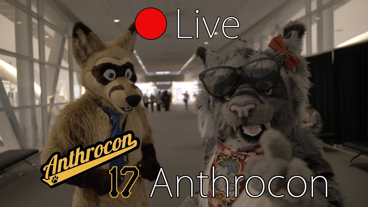 Apari LIVE @Anthrocon 2017 - YouTube