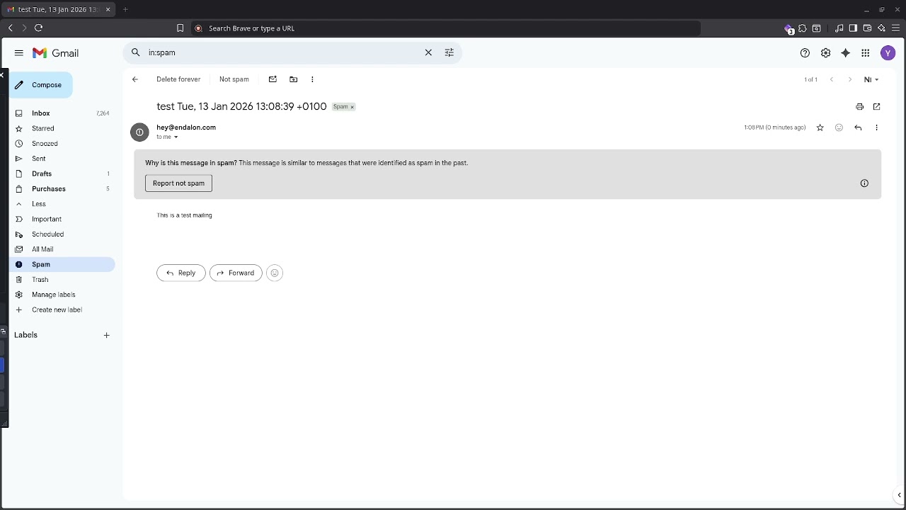 SMTP Proton Mail with Custom Domain