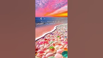 تلاوة من (سورة التوبة)}]