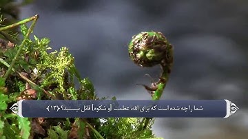 071 - سوره نوح