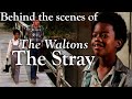 The waltons  the stray episode   behind the scenes with judy norton