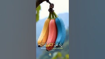 ولا تيأسوا من روح الله بصوت القارئ خالد الجليل #قرآن