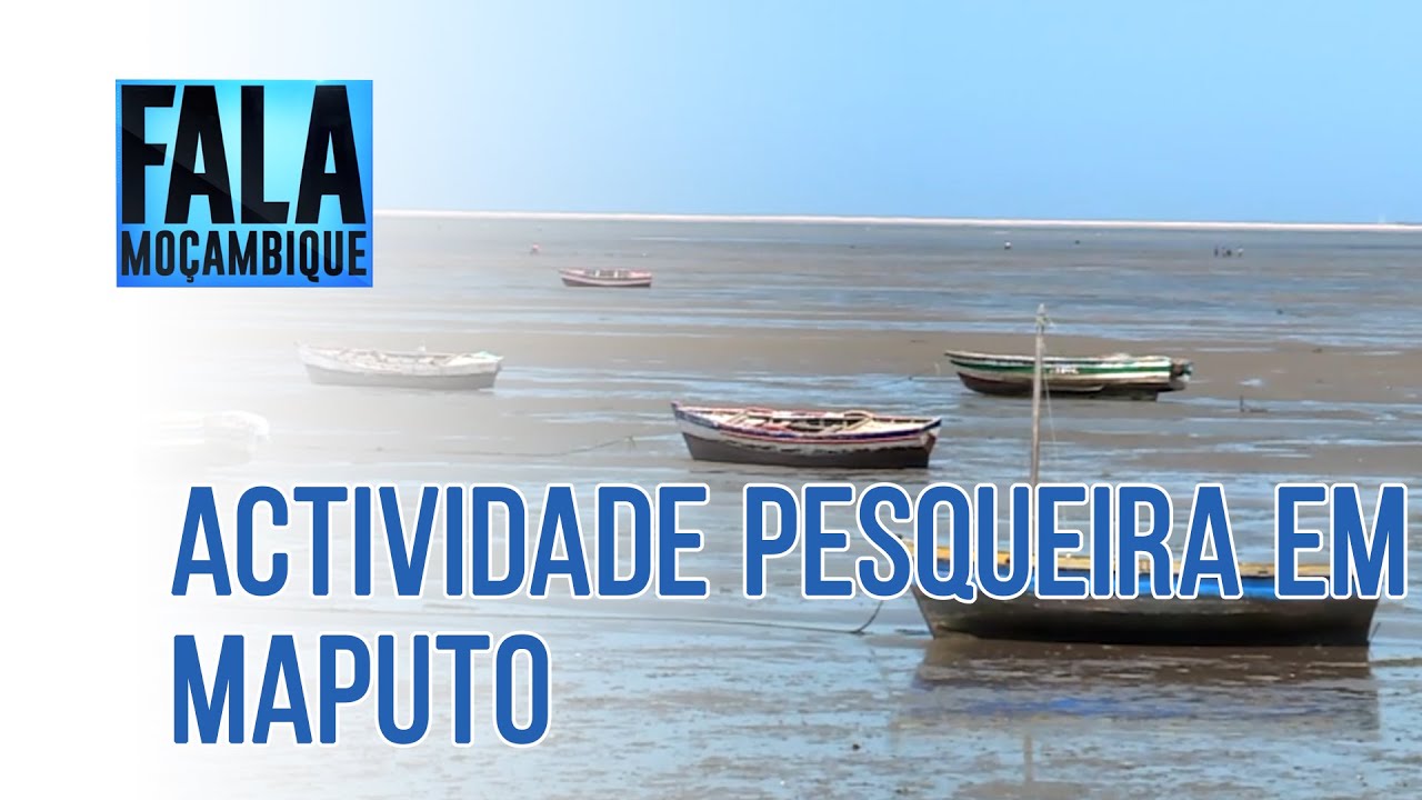 ACTIVIDADE PESQUEIRA EM MAPUTO, 03/02/2022