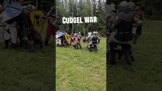 #mysca #Drachenwald #Aarnimetsä #medievalcombat #melee