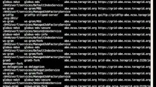 tginfo.avi