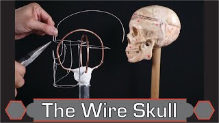 The Wire Skull  The Head Armature  Head Sculpture