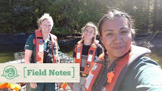 Controlling Invasive European Green Crabs | Field Notes | Parks Canada and Haida Nation