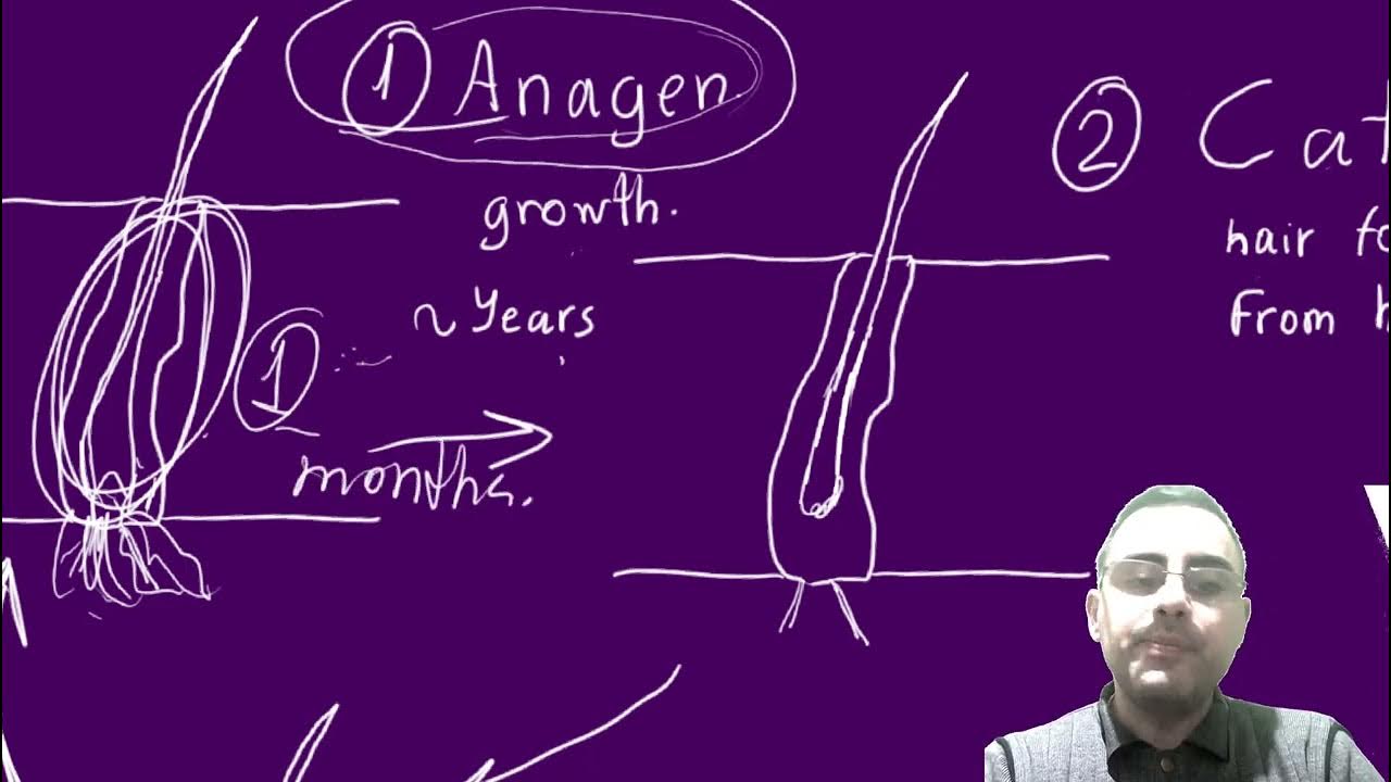 does-shaving-hair-make-it-grow-back-thicker-youtube