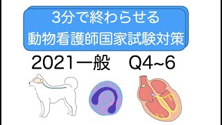 3分で終わらせる動物看護師国家試験対策2021Q4~6