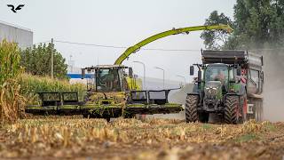 CabView | Fendt Vario 728 + Pagliari 3-Axle | Silage Loading with the New CLAAS Jaguar 1200 🌽🚜