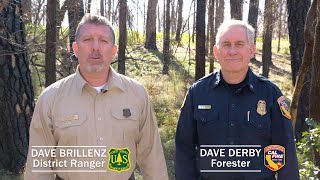 What is a Hazard Tree?