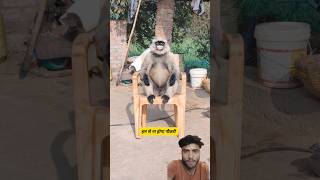 malonicute pets tv funny dog videosfunny pet’s life funny animal videosstand up comedy 🔥 viral New